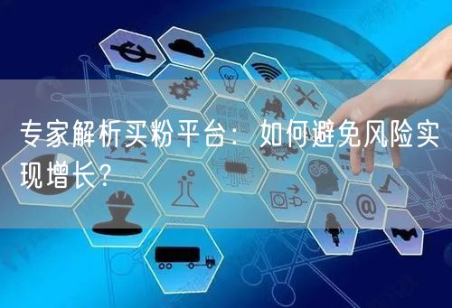 专家解析买粉平台：如何避免风险实现增长？