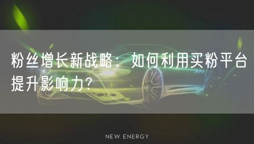 粉丝增长新战略：如何利用买粉平台提升影响力？