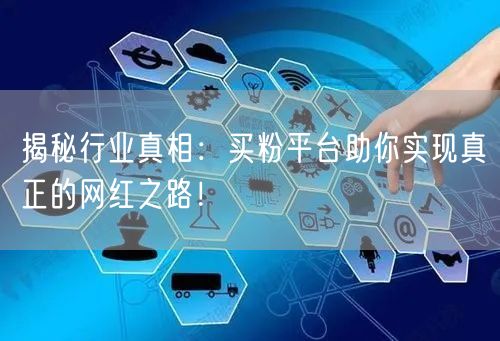 揭秘行业真相：买粉平台助你实现真正的网红之路！