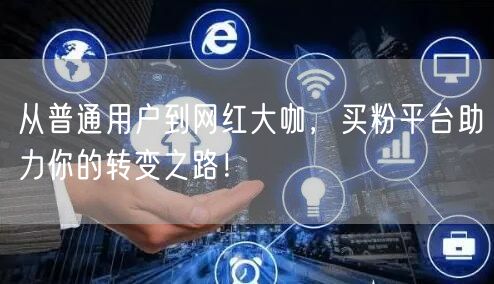 从普通用户到网红大咖，买粉平台助力你的转变之路！