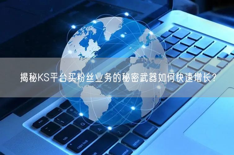 揭秘KS平台买粉丝业务的秘密武器如何快速增长？