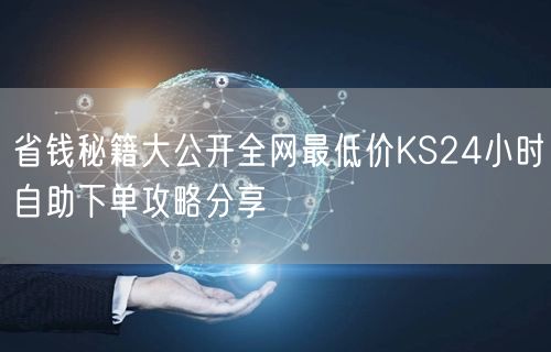省钱秘籍大公开全网最低价KS24小时自助下单攻略分享