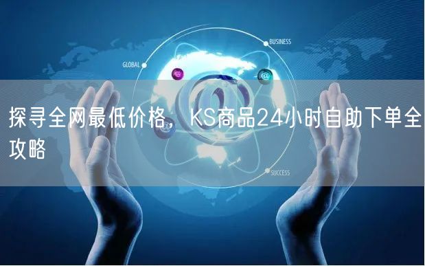 探寻全网最低价格，KS商品24小时自助下单全攻略