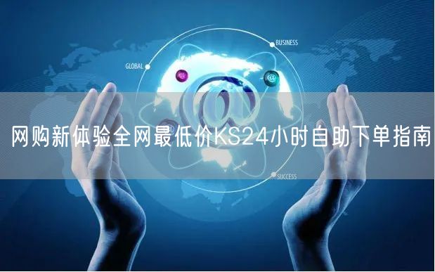 网购新体验全网最低价KS24小时自助下单指南