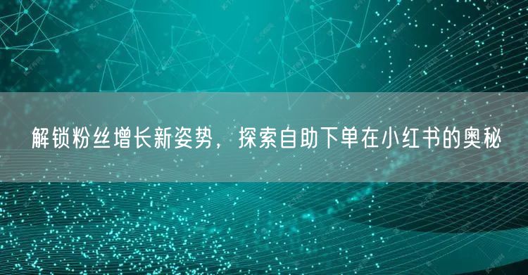 解锁粉丝增长新姿势，探索自助下单在小红书的奥秘