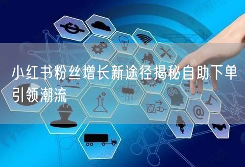 小红书粉丝增长新途径揭秘自助下单引领潮流