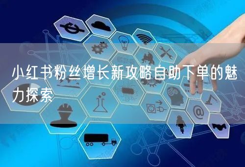 小红书粉丝增长新攻略自助下单的魅力探索