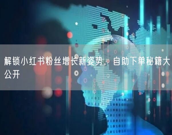 解锁小红书粉丝增长新姿势，自助下单秘籍大公开