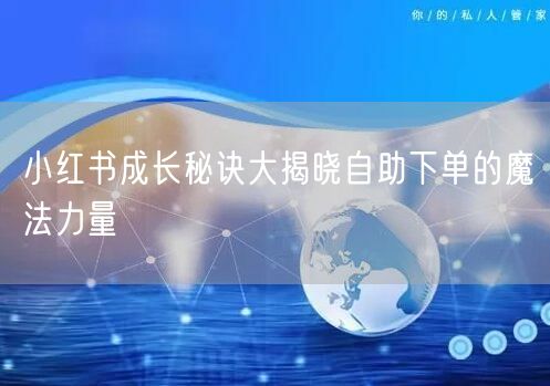 小红书成长秘诀大揭晓自助下单的魔法力量