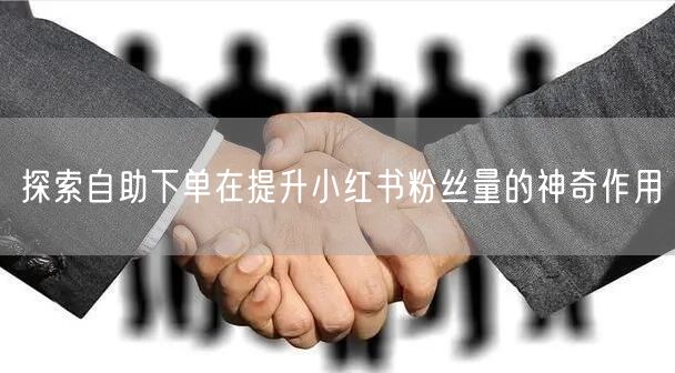 探索自助下单在提升小红书粉丝量的神奇作用