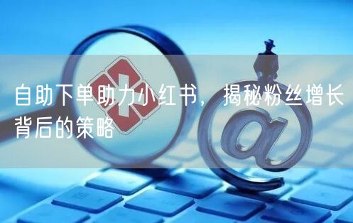 自助下单助力小红书，揭秘粉丝增长背后的策略